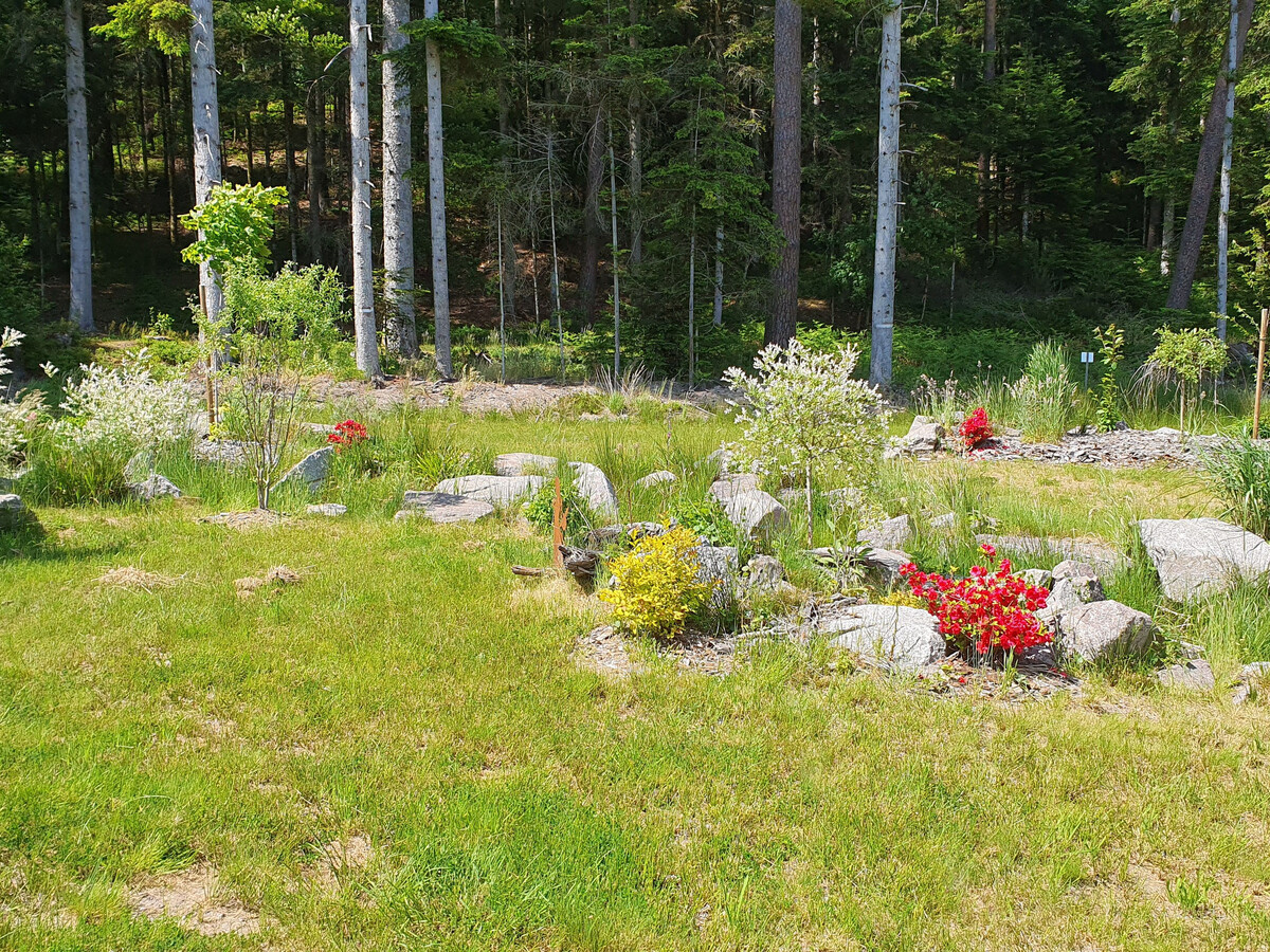 Gîte forêt avec piscine et terrasse à Saint-Rémy - Photo 7