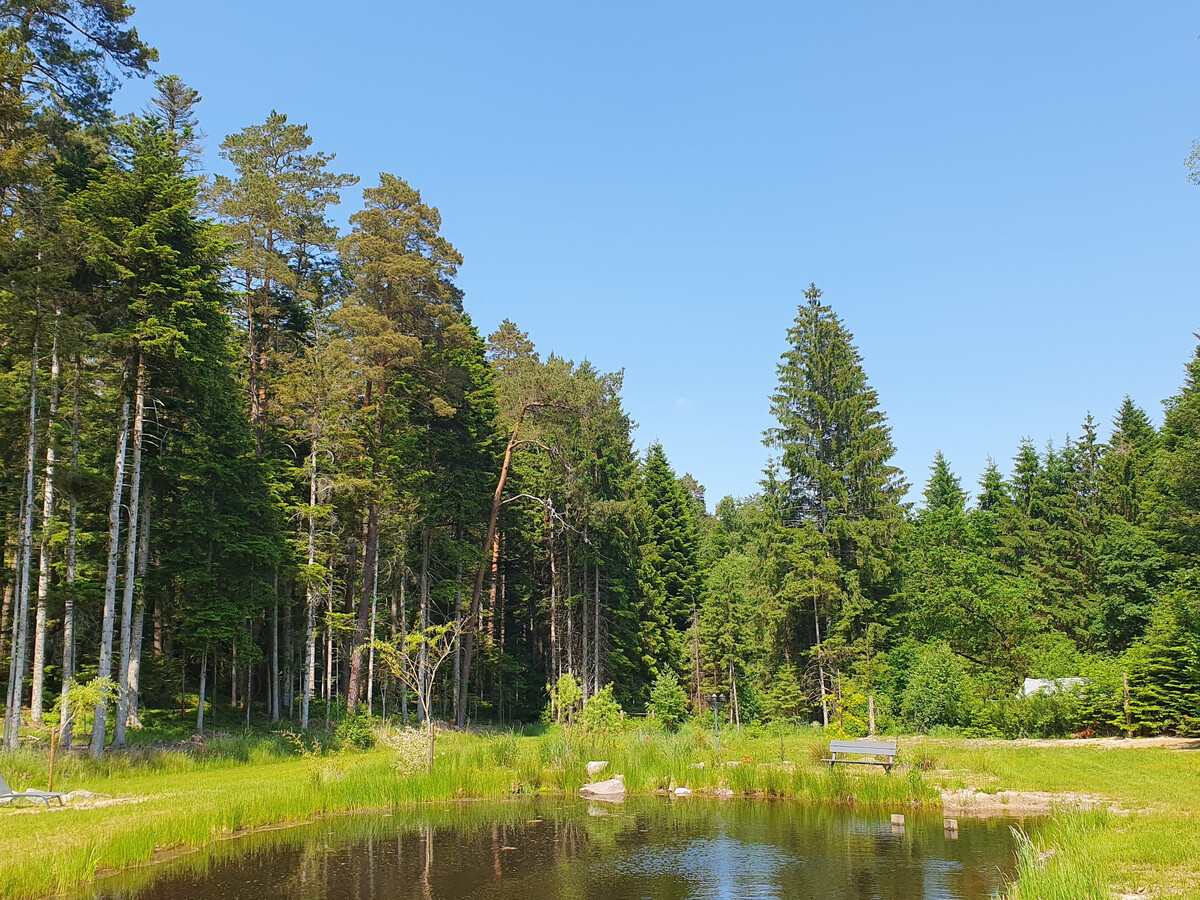 Gîte forêt avec piscine et terrasse à Saint-Rémy - Photo 9