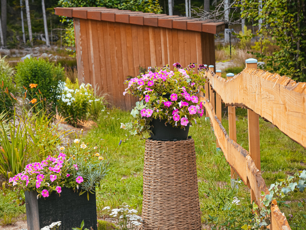 Gîte forêt avec piscine et terrasse à Saint-Rémy - Photo 11