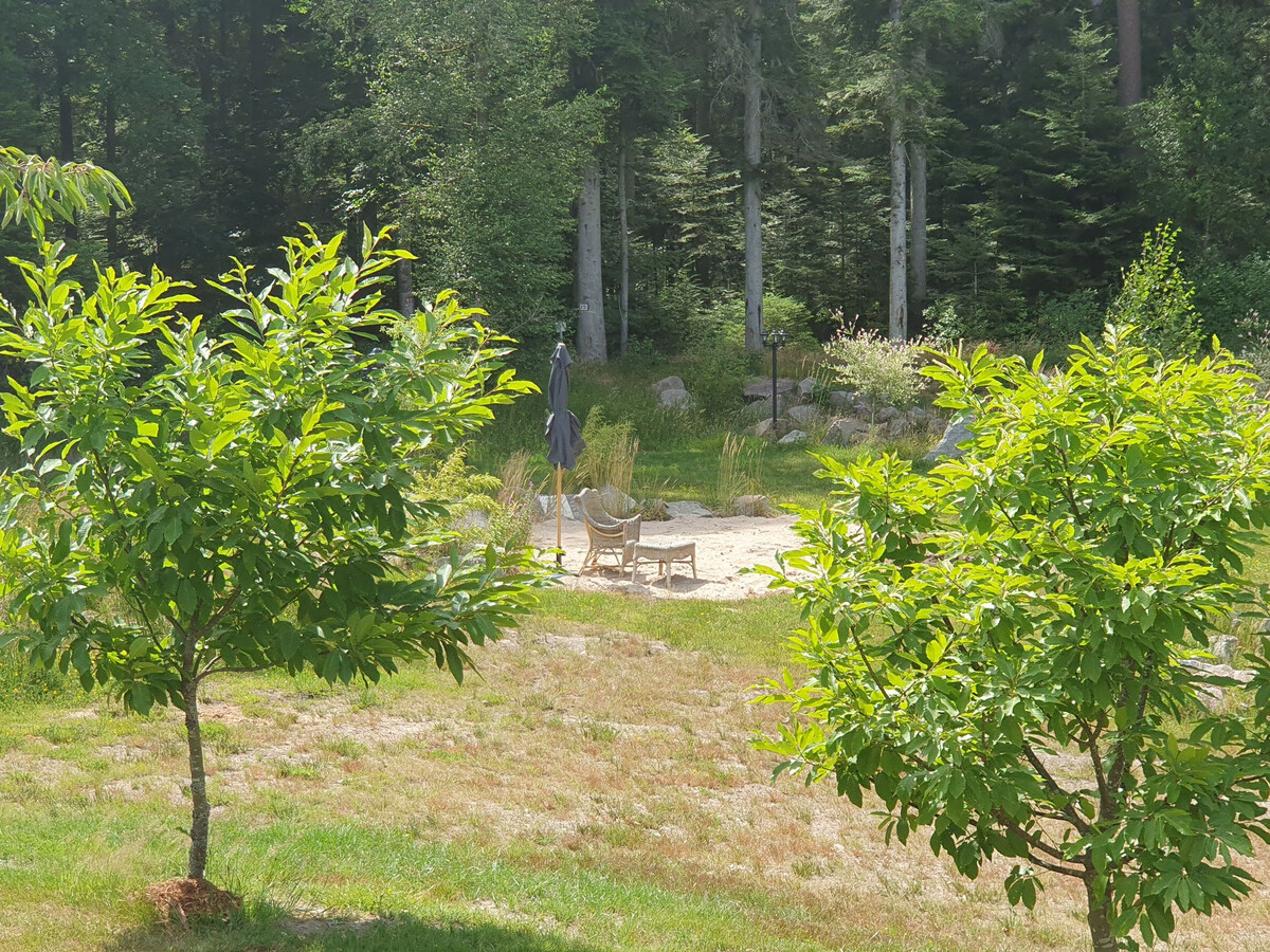 Gîte forêt avec piscine et terrasse à Saint-Rémy - Photo 18