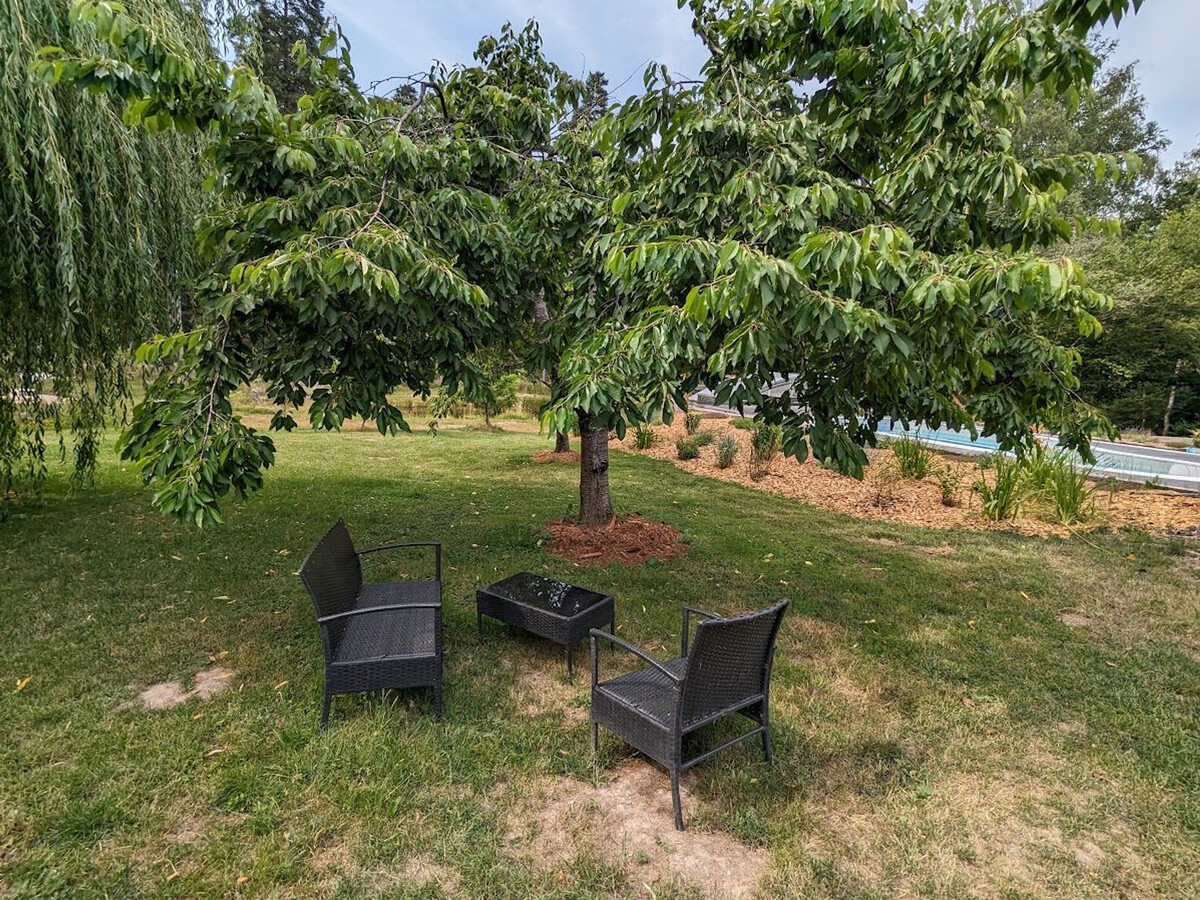 Gîte forêt avec piscine et terrasse à Saint-Rémy - Photo 24