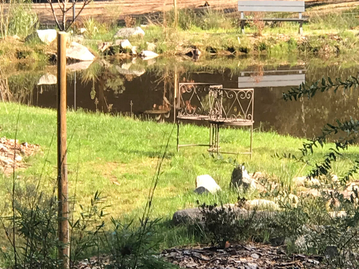 Gîte forêt avec piscine et terrasse à Saint-Rémy - Photo 34