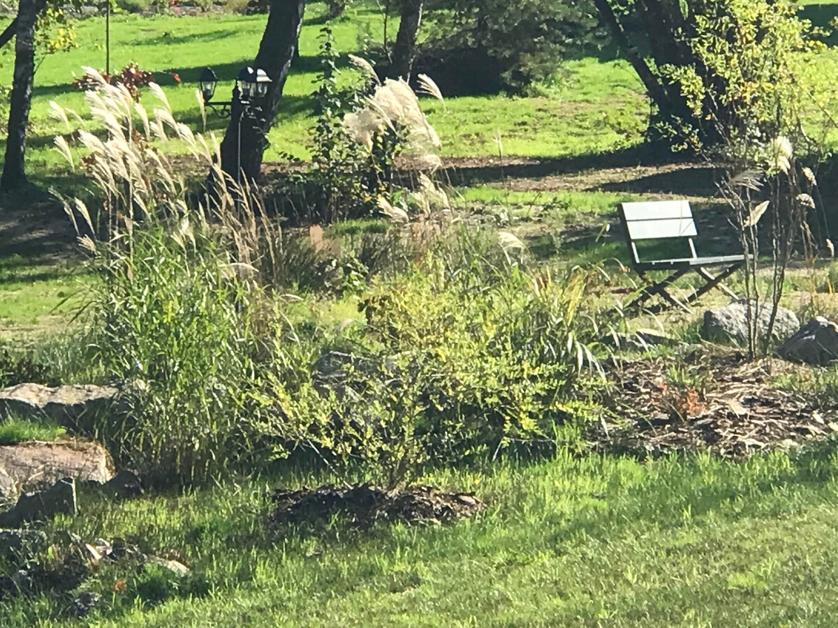 Gîte forêt avec piscine et terrasse à Saint-Rémy - Photo 35