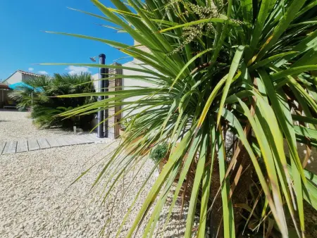 Villa Parasar avec piscine privée et cuisine d'été à Saint-Nazaire-d'Aude : photo 24
