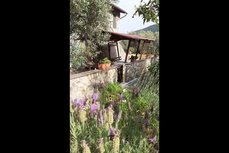 Podere di Mero Casolare, gîte 8 pers. à Buti - Photo 22