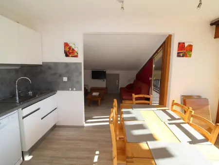 Duplex 4 pièces au pied des pistes, vue Écrins - Auris : photo 5