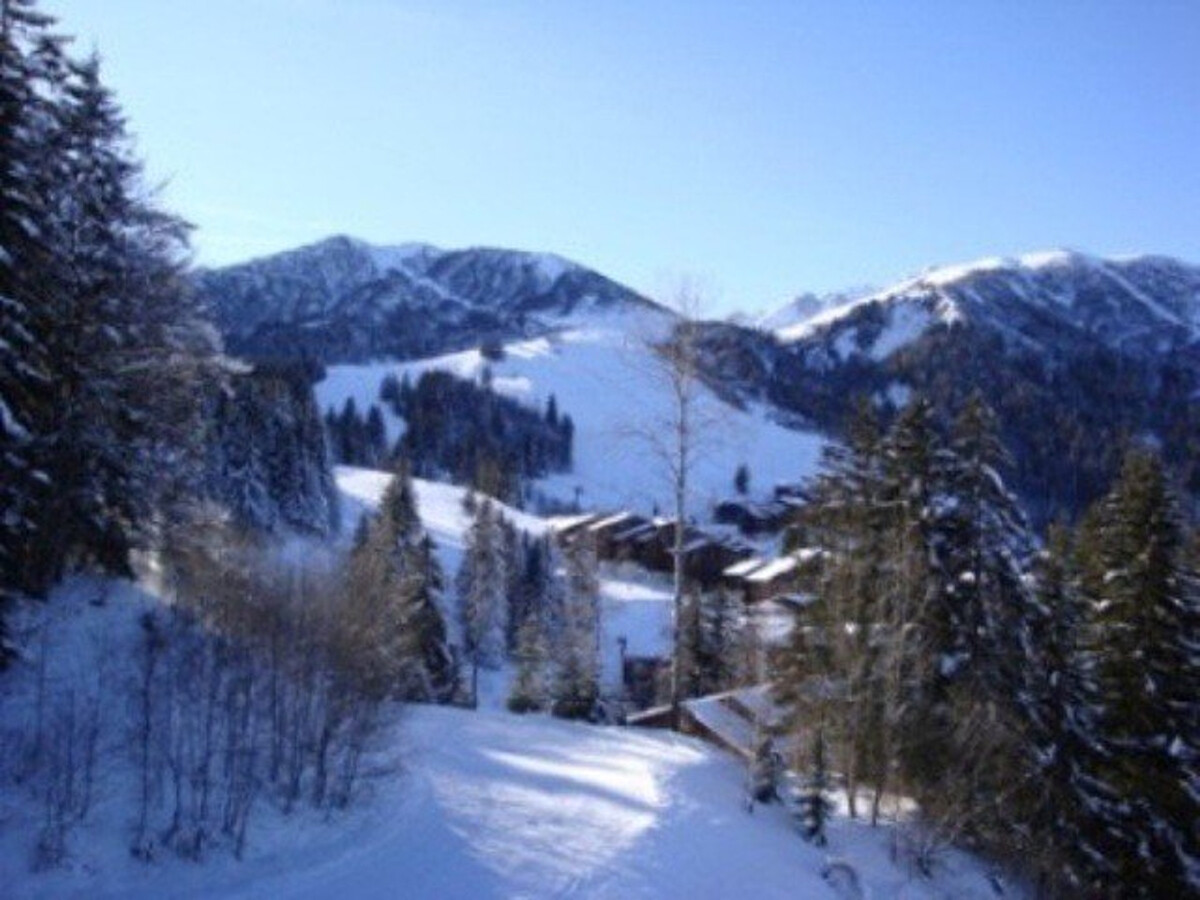 Duplex 4 pièces Crève Coeur, 20m des pistes - Photo 15