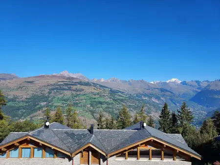 T2 6 pers avec balcon vue Mont Blanc à La Plagne Tarentaise : photo 11