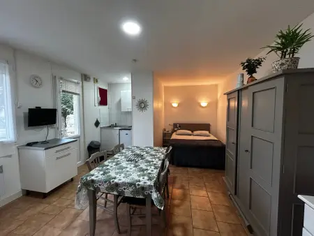 Charmant studio près des Thermes avec jardin et wifi - Photo 5