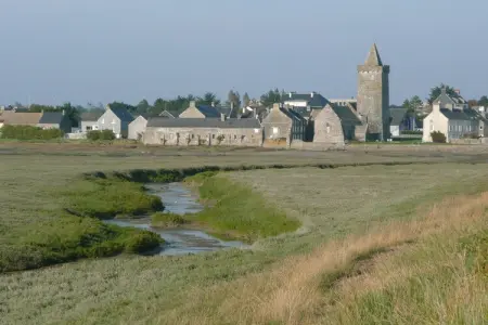 Maison de campagne rénovée avec terrain 4000m² à Canville : photo 20