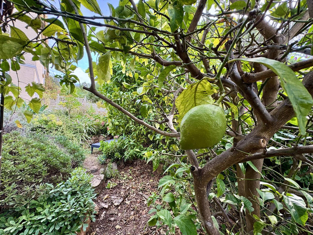 Villa 8 pers. à Propriano, vue mer et jardin arboré - Photo 32