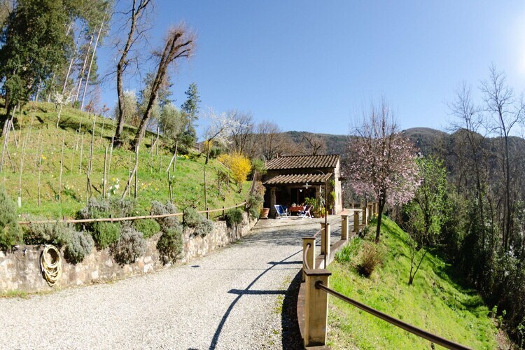 Le Piane, gîte 4 pers. avec piscine privée à Lucca - Photo 15