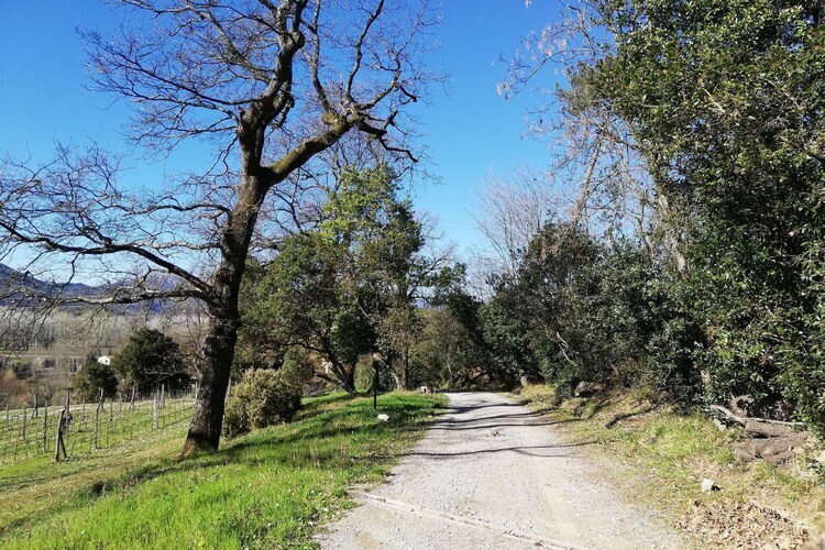 Le Piane, gîte 4 pers. avec piscine privée à Lucca - Photo 21
