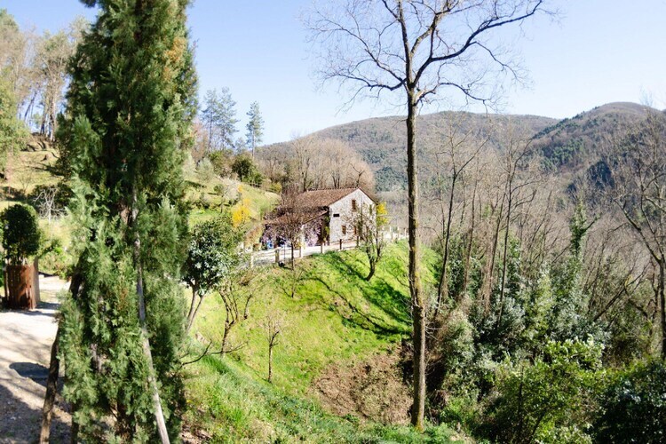 Le Piane, gîte 4 pers. avec piscine privée à Lucca - Photo 22