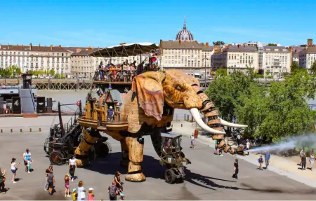 Maison de ville 4 chambres avec jardin privé à Nantes : photo 23