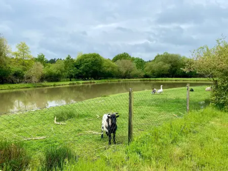 L'Hirondelle, gîte 5 pers. avec jardin et plan d'eau : photo 12