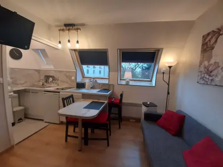 Studio lumineux 2 pers. avec clim et WIFI à La Roche-Posay : photo 2