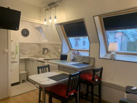 Studio lumineux 2 pers. avec clim et WIFI à La Roche-Posay : photo 4