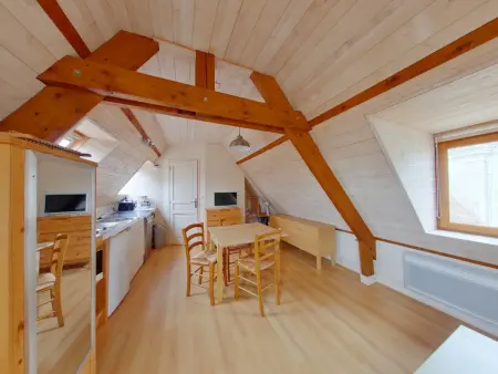 Location appartement à La Roche Posay, Studio charmant à 70m des Thermes, WiFi, Animaux bienvenus