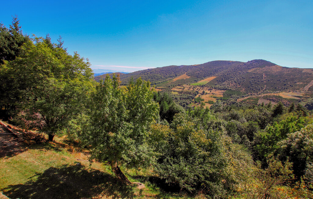 Maison pierre isolée en forêt, vue Alpes – Saint-Étienne-de-Serre - Photo 19