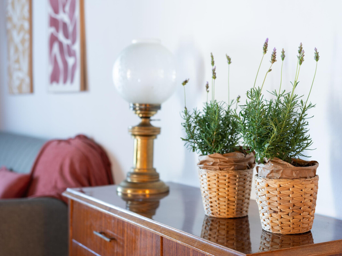 Appartement ancien rénové à Tejeda, vue Roque Bentayga - Photo 9