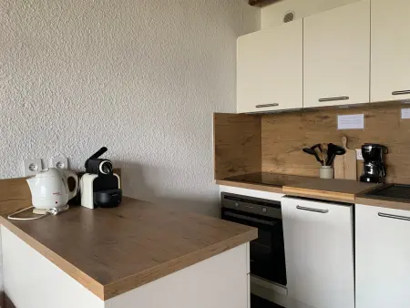 Studio 4 pers. face aux pistes, balcon vallée : photo 11
