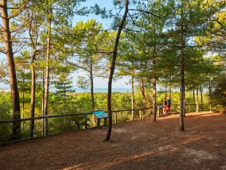 Maison 5 pers. piscine chauffée à Saint-Jean-de-Monts - Photo 22