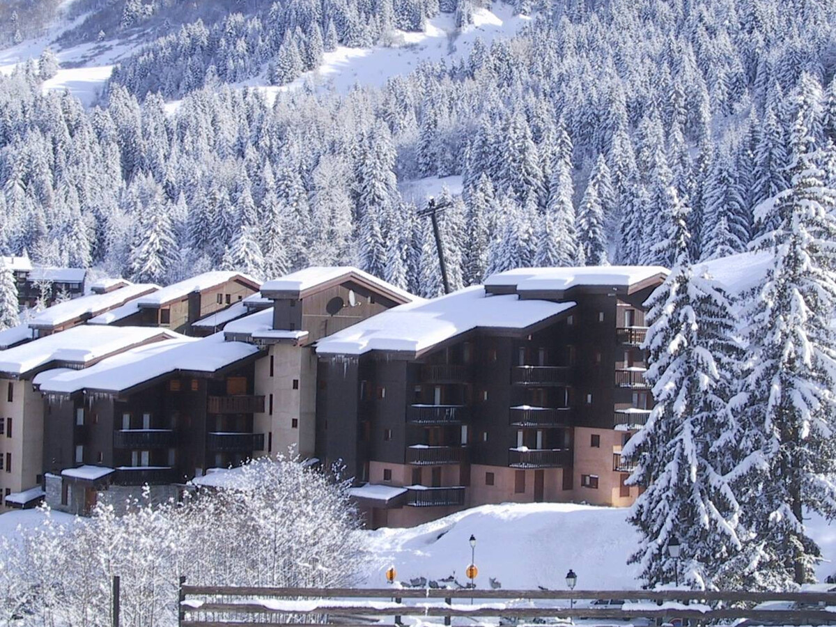 Appartement Crève Cœur, accès direct pistes à Valmorel - Photo 14