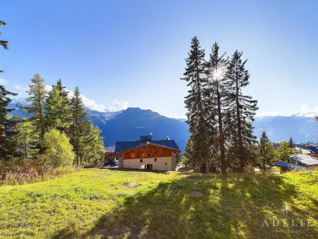 Studio 27 m² rénové, 350 m des pistes à La Rosière : photo 9