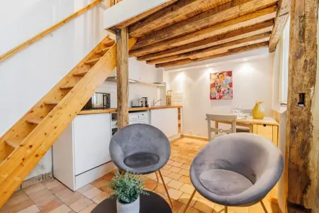 Location appartement à Paris, Splendide duplex -1BR/2P - Notre-Dame/Île St-Louis