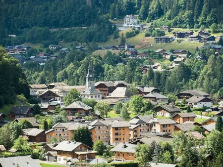 Studio 19m² Montriond, balcon sud, parking privé - Photo 15