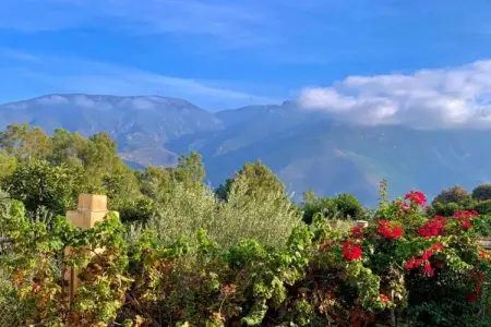 El Ensueno, maison avec piscine et vue Sierra Lujar : photo 35
