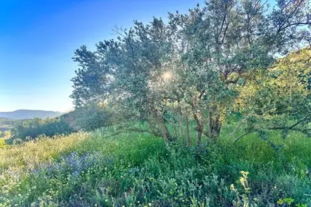 El Ensueno, maison avec piscine et vue Sierra Lujar : photo 36