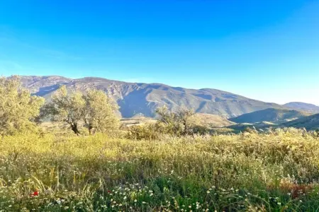 El Ensueno, maison avec piscine et vue Sierra Lujar : photo 38