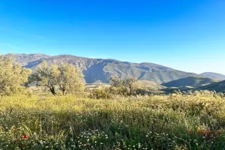 El Ensueno, maison avec piscine et vue Sierra Lujar : photo 39