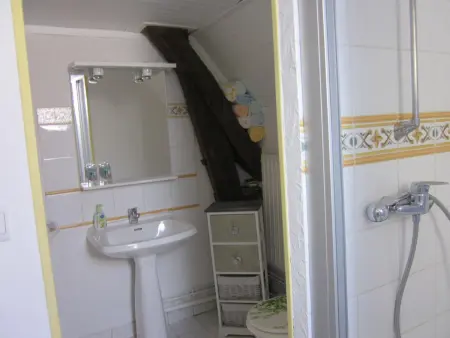 Gîte 8 pers. à Ferrières-sur-Sichon, animaux acceptés : photo 23