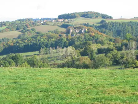 Gîte 8 pers. à Ferrières-sur-Sichon, animaux acceptés : photo 31