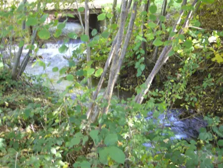 Gîte 8 pers. à Ferrières-sur-Sichon, animaux acceptés : photo 34