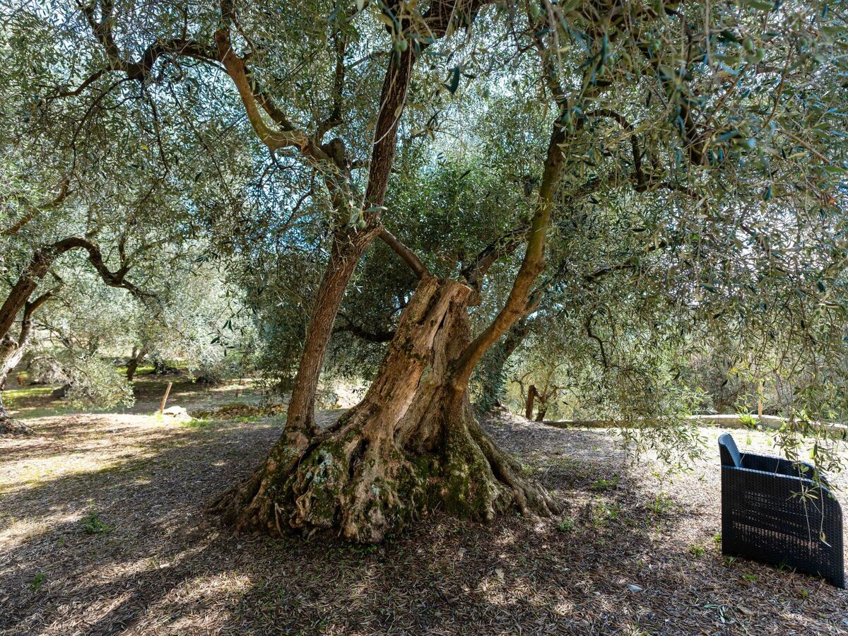 Gravel's House – Maison 2 pièces avec jardin à Diano Marina - Photo 25