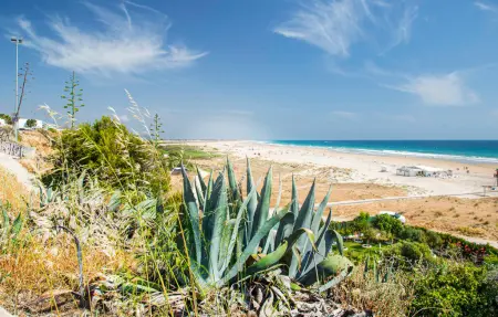 Maison 5 personnes à Conil de la Frontera - Photo 22
