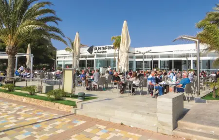 Appartement 2 chambres avec terrasse plein sud à Punta Prima, Torrevieja : photo 22