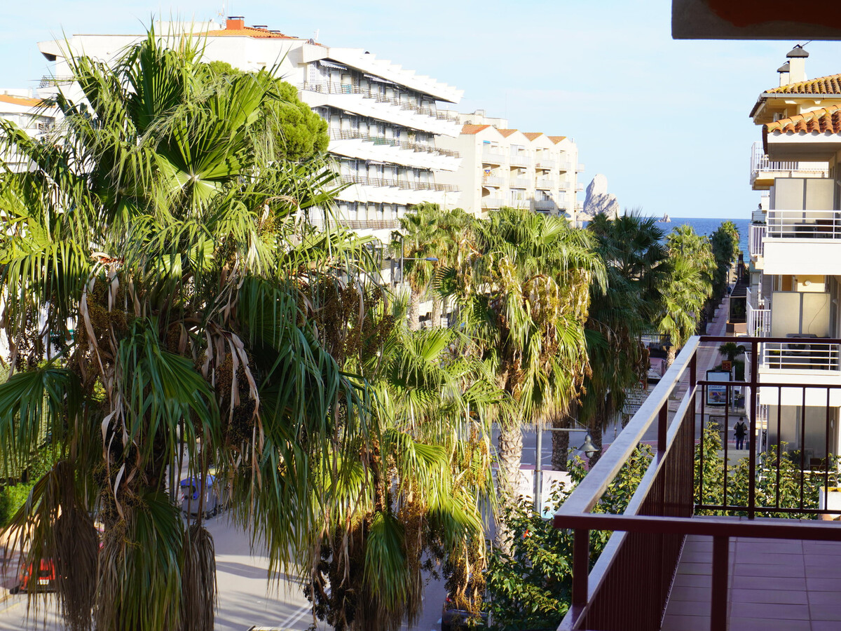 Appartement Grecia, 250 m de la plage de L'Estartit - Photo 5