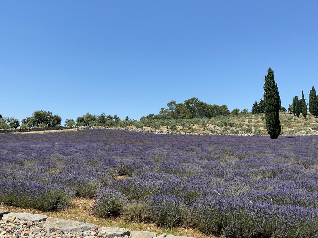 Plein Sud, Villa avec clim, piscine et proche du village - Photo 29
