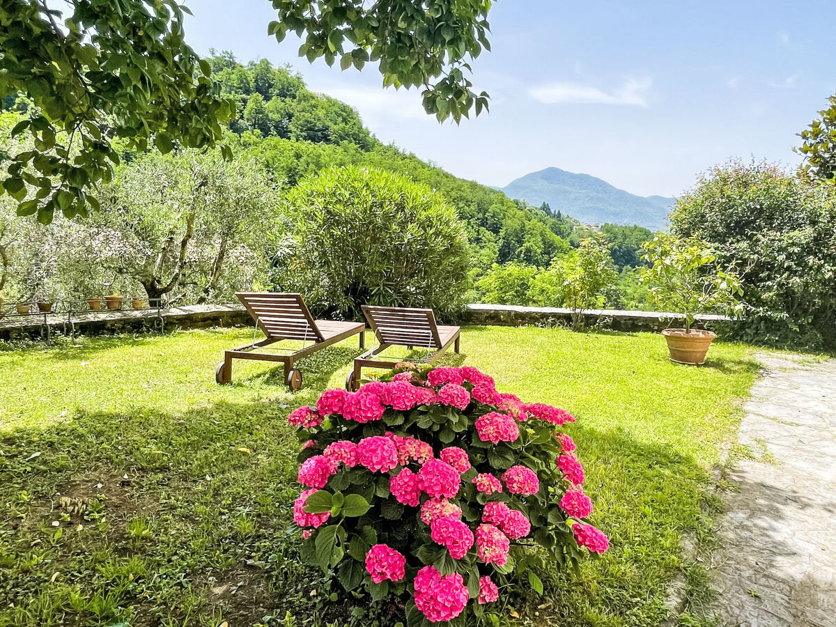 Casa Corsonna, studio 24 m² à Barga avec jardin - Photo 3