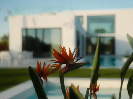 Villa 14 pers. Sitges : 3 niveaux, piscine 8×5m, vue mer : photo 20