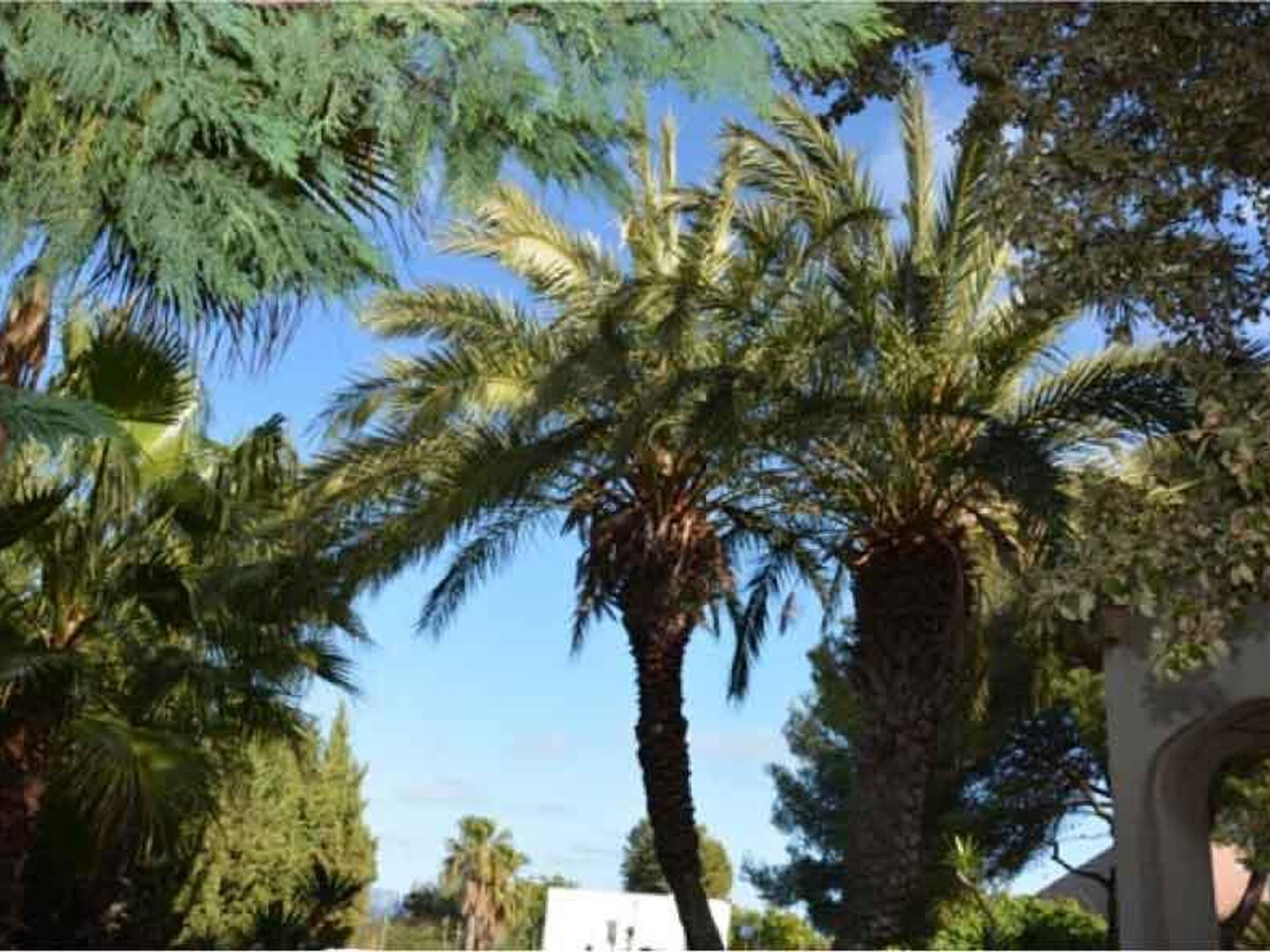 Villa Colibri 12 pers, piscine 12m & jardin, Sitges - Photo 6