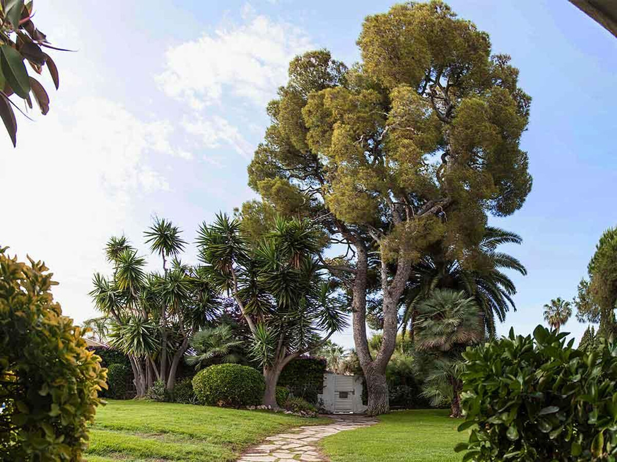 Villa Tupinetti : 6 chambres, piscine privée à 100m de la plage - Photo 12