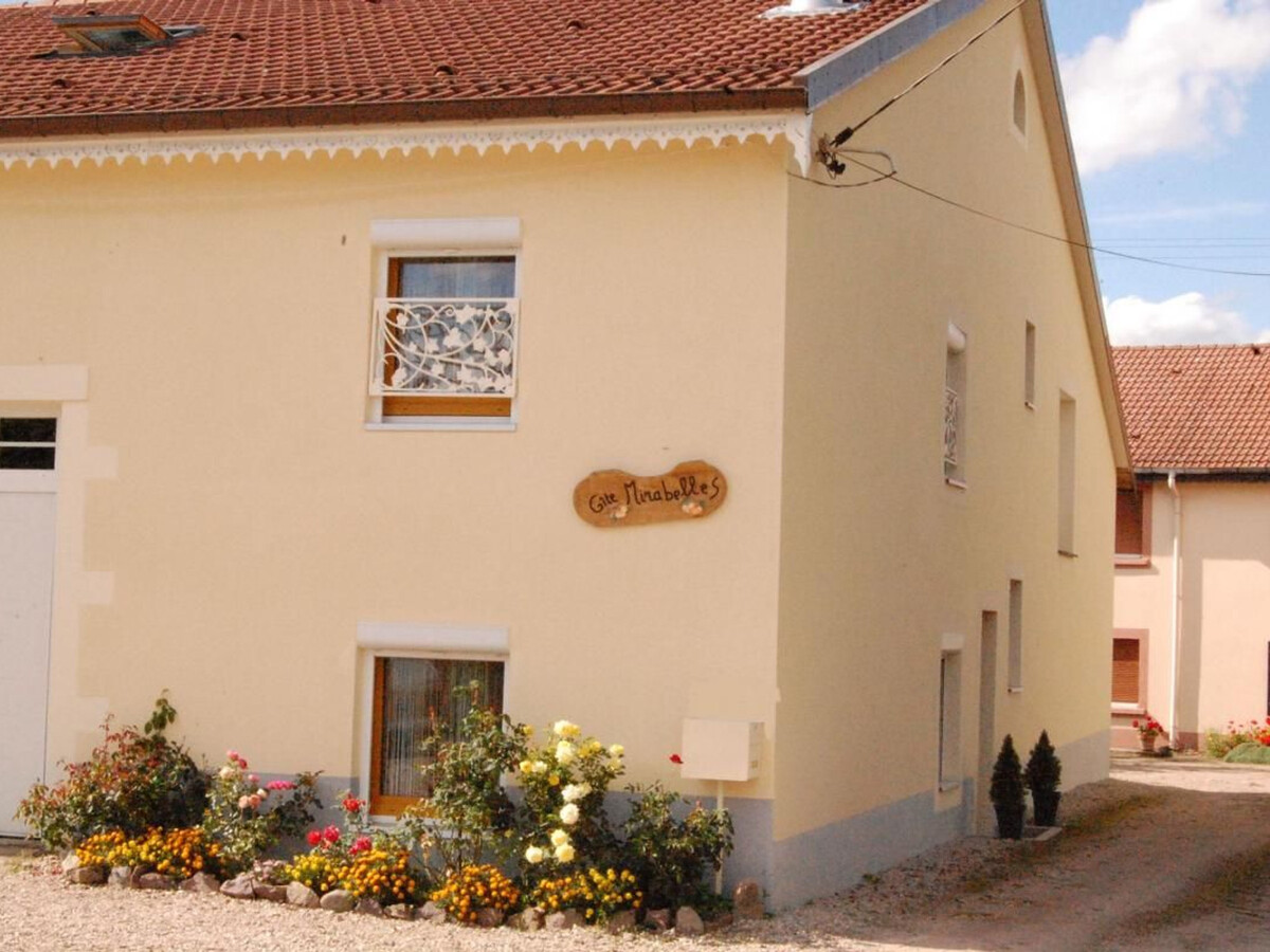Gîte 3 pers. avec terrasse près de Gérardmer - Photo 13