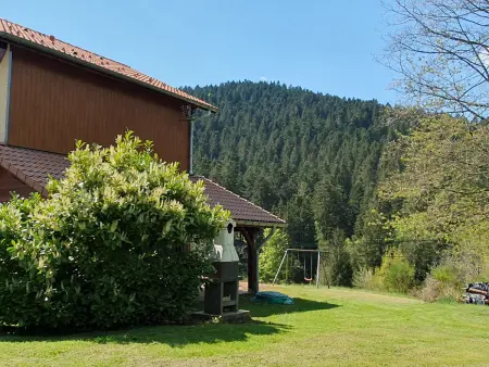 Chalet Chez Séverine à Ventron, baby-foot et terrain de jeux : photo 29