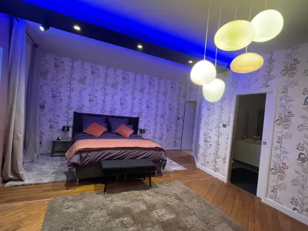 Appartement 200m² bourgeois moderne, centre Épinal : photo 12